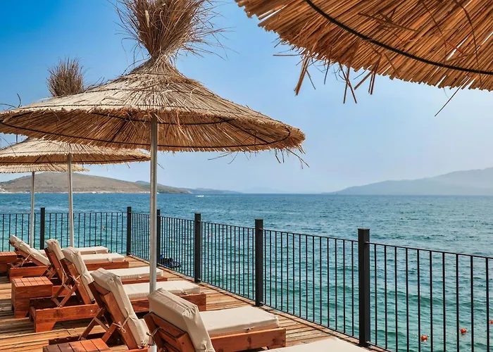 Apartament Daed Luxury *